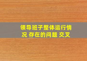 领导班子整体运行情况 存在的问题 交叉